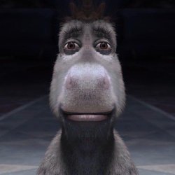 Donkey Staring Meme Template