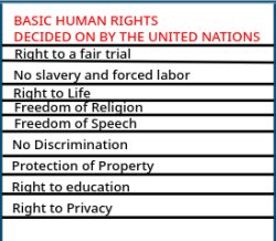 Human Rights Meme Template