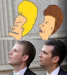 Beavis Butthead Trump Meme Template