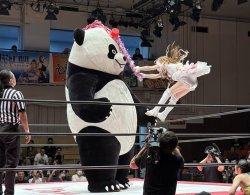 Japanese Wrestling Panda Hammer Meme Template