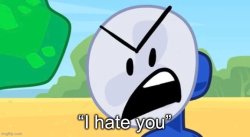 she hates you Meme Template