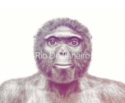 rio de janeiro Meme Template
