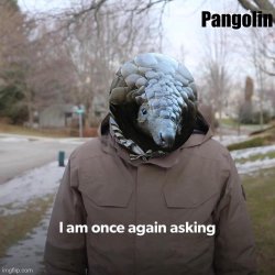 Pangolin I Am Once Again Asking For…. Meme Template