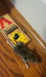 Rattrap Meme Template