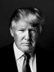 Donald Trump Meme Template