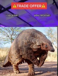 Pangolin Trade Offer Meme Template