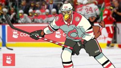 COQINU hockey league Meme Template