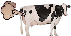 COW FARTS Meme Template