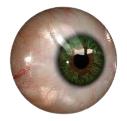 Crazy Eyeball Transparent Background Meme Template