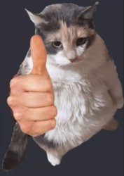 CatThumb Meme Template