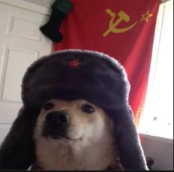 russian dog Meme Template