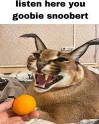 Listen here you goobie snoobert Meme Template