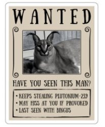 Wanted caracal Meme Template