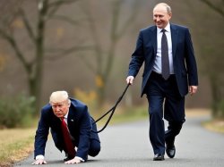 trump dog putin Meme Template