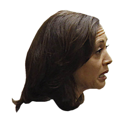 KAMALA - HEAD - PROFILE Meme Template