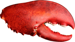 CLAW - right Meme Template