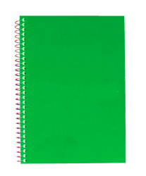 NOTEBOOK - green Meme Template