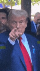 Trump pointing Meme Template