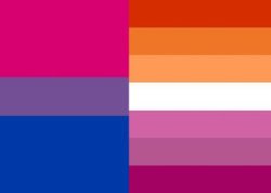 Bisexual/lesbian flag Meme Template