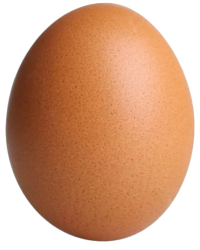 egg Meme Template