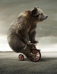 Tricycle Bear Meme Template