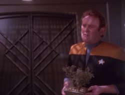 O'Brien Holding A Plant. Meme Template