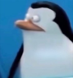 Penguin Meme Template