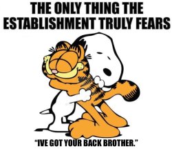 The only thing establishment fears Meme Template