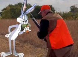 Tim Walz Meme Template