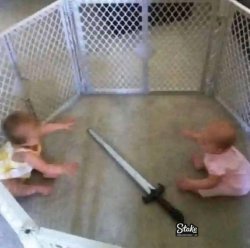 Toddlers fighting Meme Template