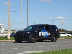 police car Meme Template