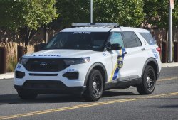 police car Meme Template