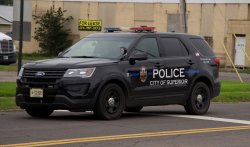 police car Meme Template