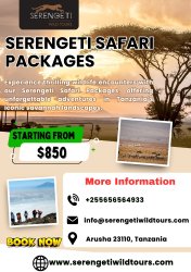 Serengeti Safari Packages Meme Template