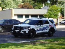 police car Meme Template