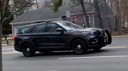 police car Meme Template