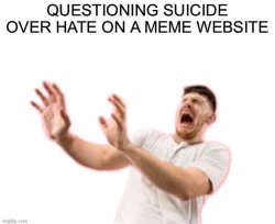 Questioning sewer slide over a meme website Meme Template