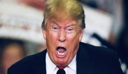 Donald Trump Meme Template