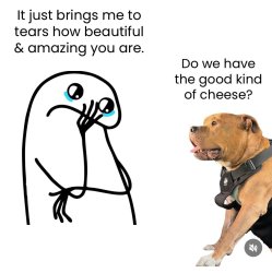 Good dog Meme Template