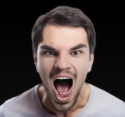 Angry Man Screaming Meme Template