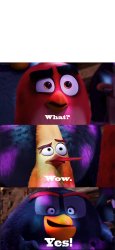 Angry Birds Movie - "What? Wow. Yes!" Meme Template