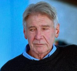 Harrison Ford Meme Template