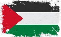 Palestine Flag Meme Template