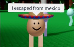 i esacped from mexico Meme Template