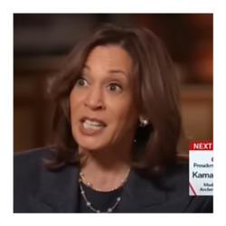 Kamala Harris Meme Template