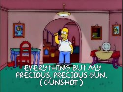 Homer Simpson And His Gun. Meme Template