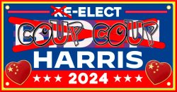 ELECT HARRIS 2024 Meme Template