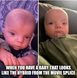 Baby from Splice Meme Template