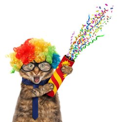 Funny cat Meme Template