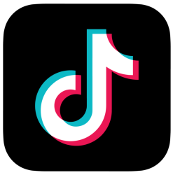 TikTog Logo Meme Template